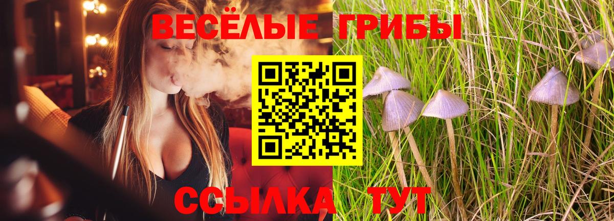 Псилоцибиновые грибы прущие грибы  Псилоцибиновые грибы прущие грибы  Лобня  Вход с VPN 