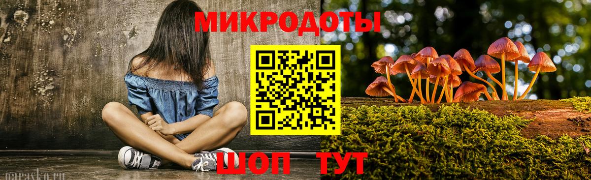 Галлюциногенные грибы Psilocybe Лобня